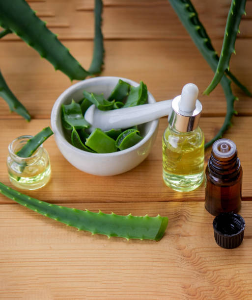 Aloe Vera: propiedades para hidratar tu cabello